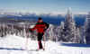 tahoe3.JPG (164866 bytes)